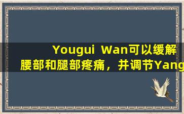 Yougui  Wan可以缓解腰部和腿部疼痛，并调节Yang缺乏症和肾脏缺乏症，被称为“数百种处方中的第一”